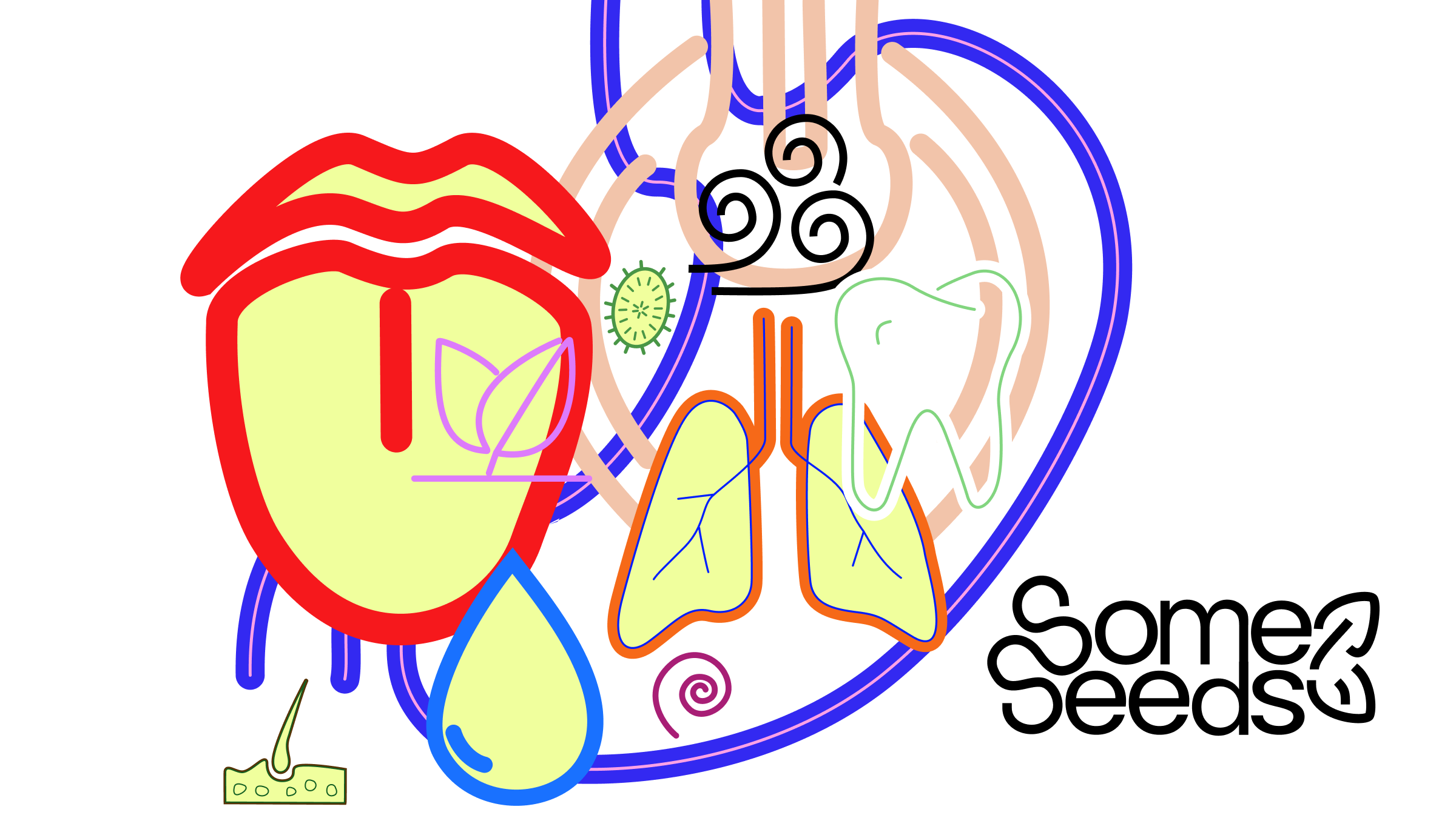Someseeds poster