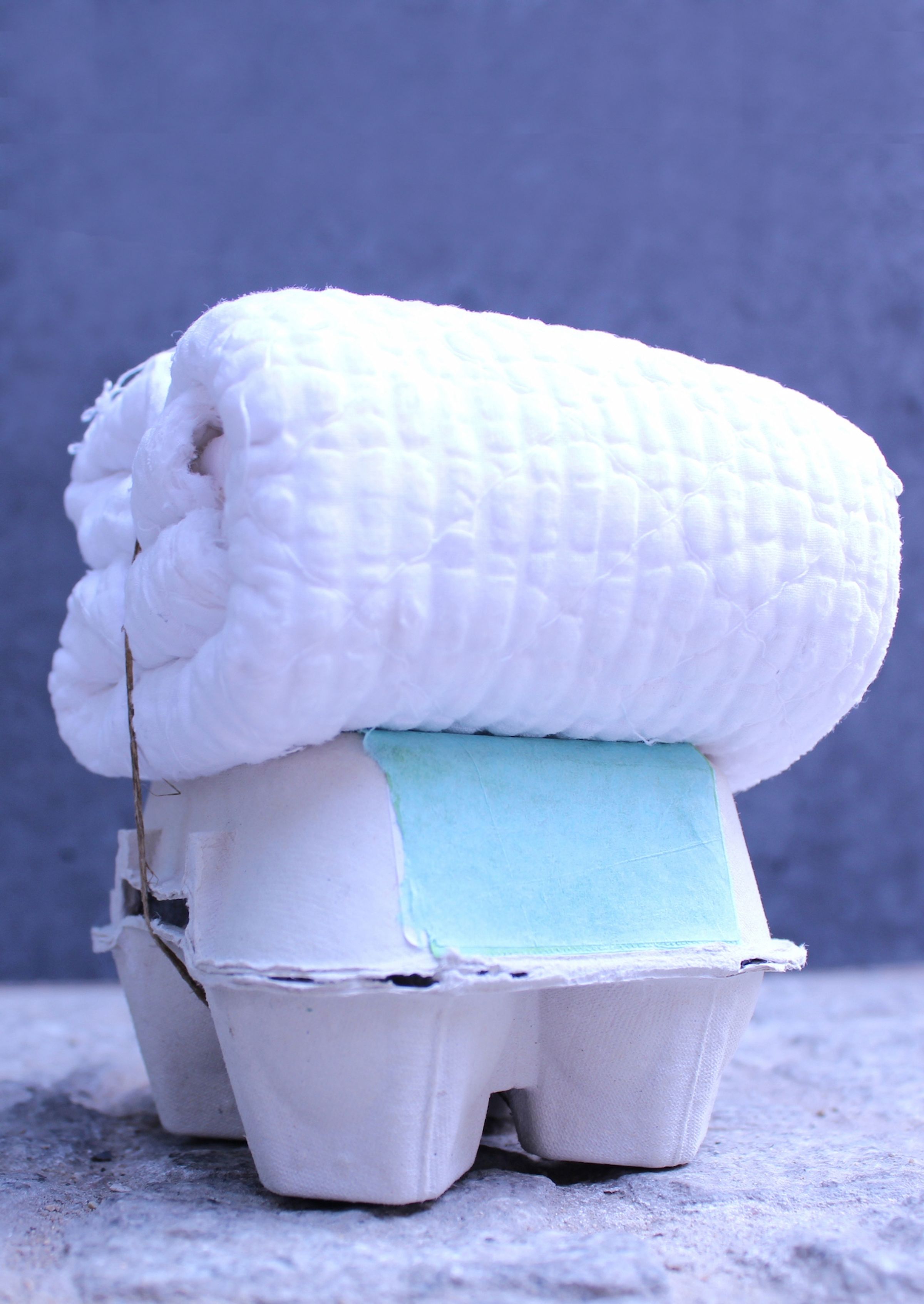 Deborah Ligorio, Survival Kit - Bellissima 5/99, 2013, assemblage: egg box, padded fabric, vegan lanyard, 11 x 13 x 11 cm.