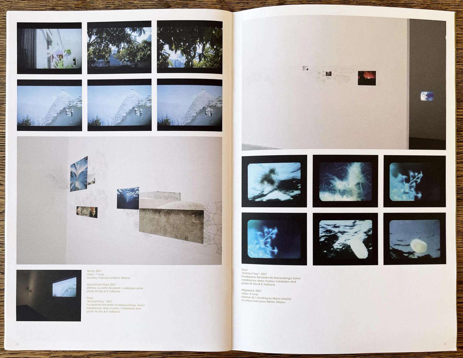 Ambient Tour. Flussi by Deborah Ligorio, published by Electa, with texts by Ilaria Bonacossa.