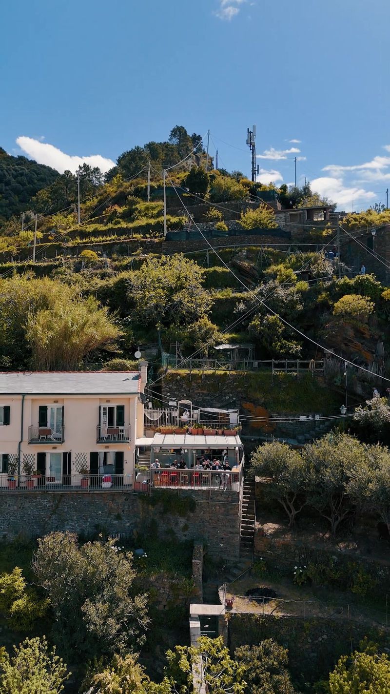 Case e terrazzamenti coltivati su una collina che scende verso il mare