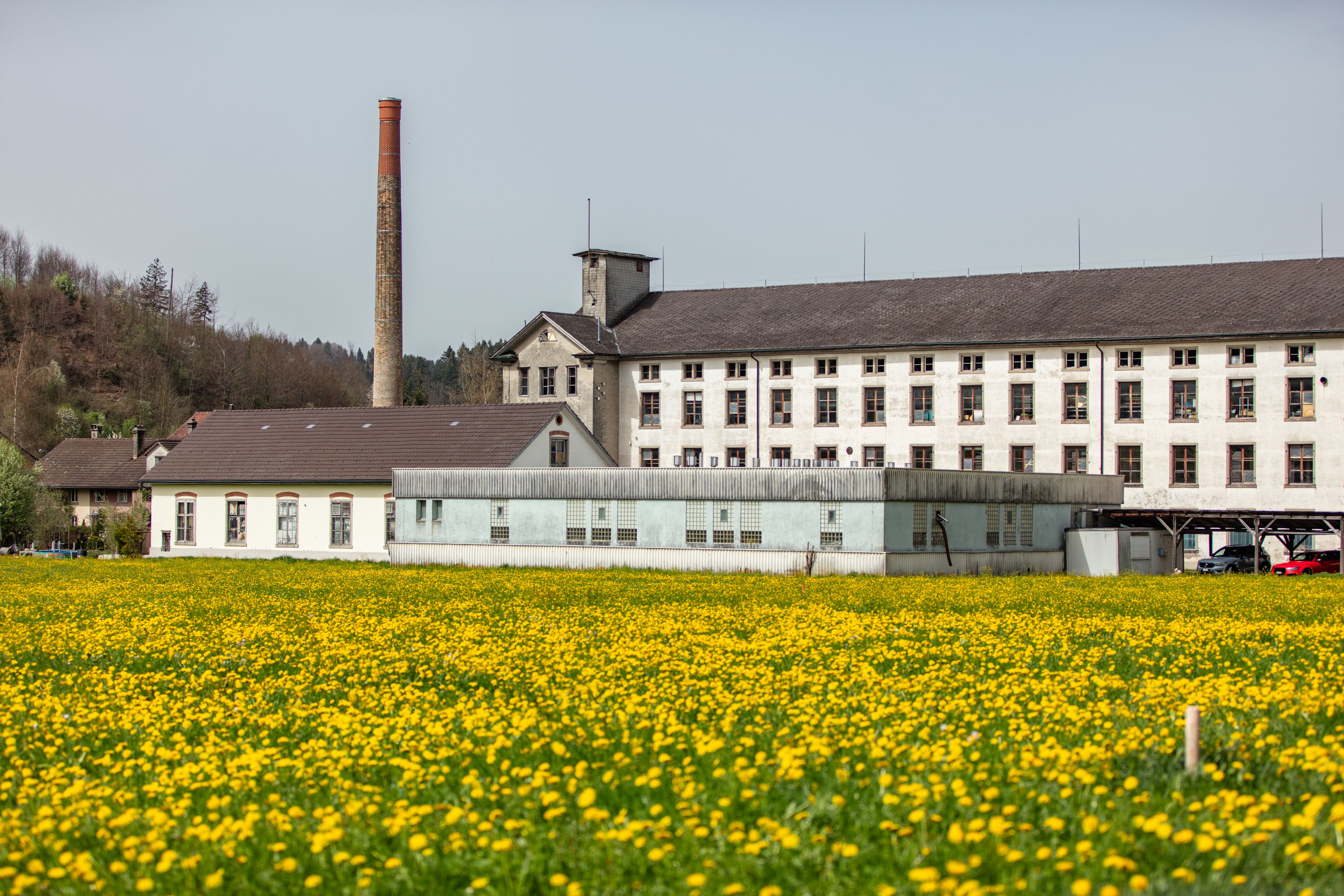 Die alte Textilfabrik mit der Wiese im Vordergrund, auf welcher das Juckern-Areal entsteht.