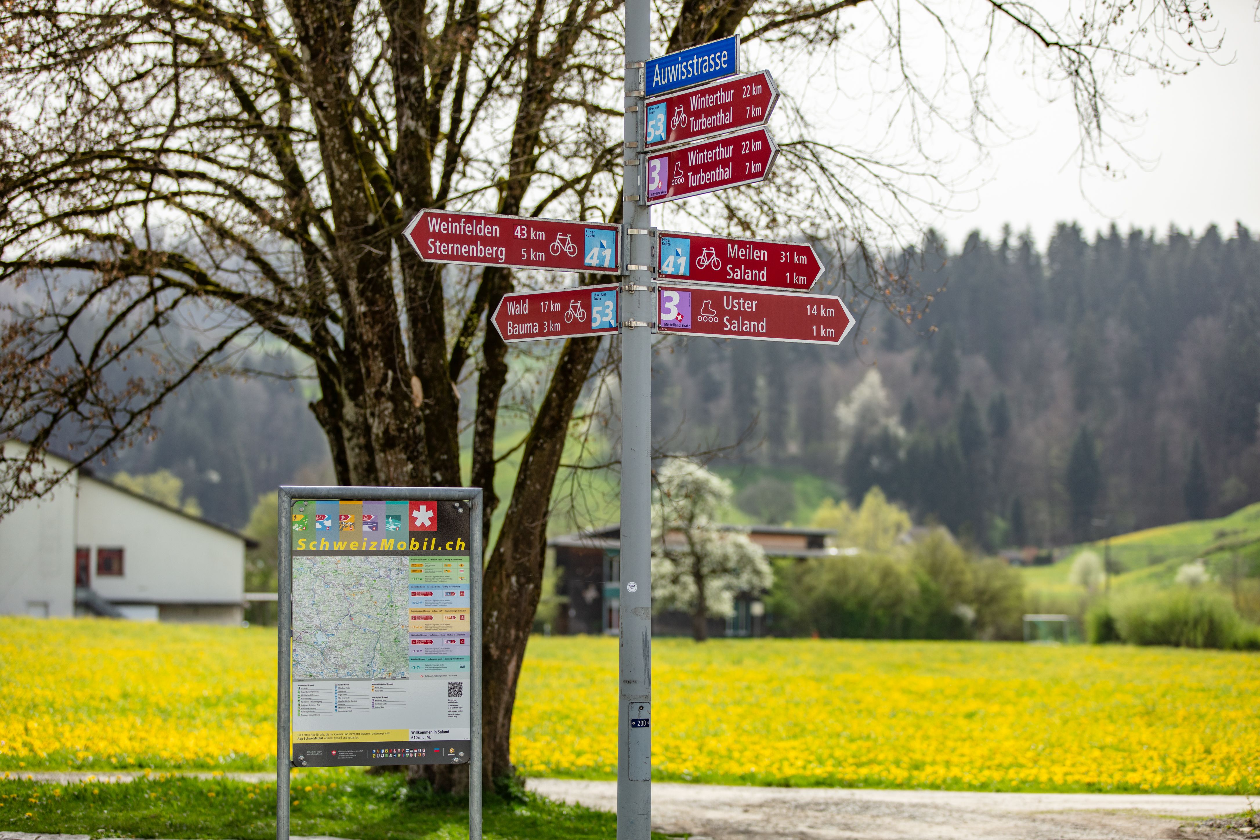 Wegweiser mit Fahrrad-Routen in Saland