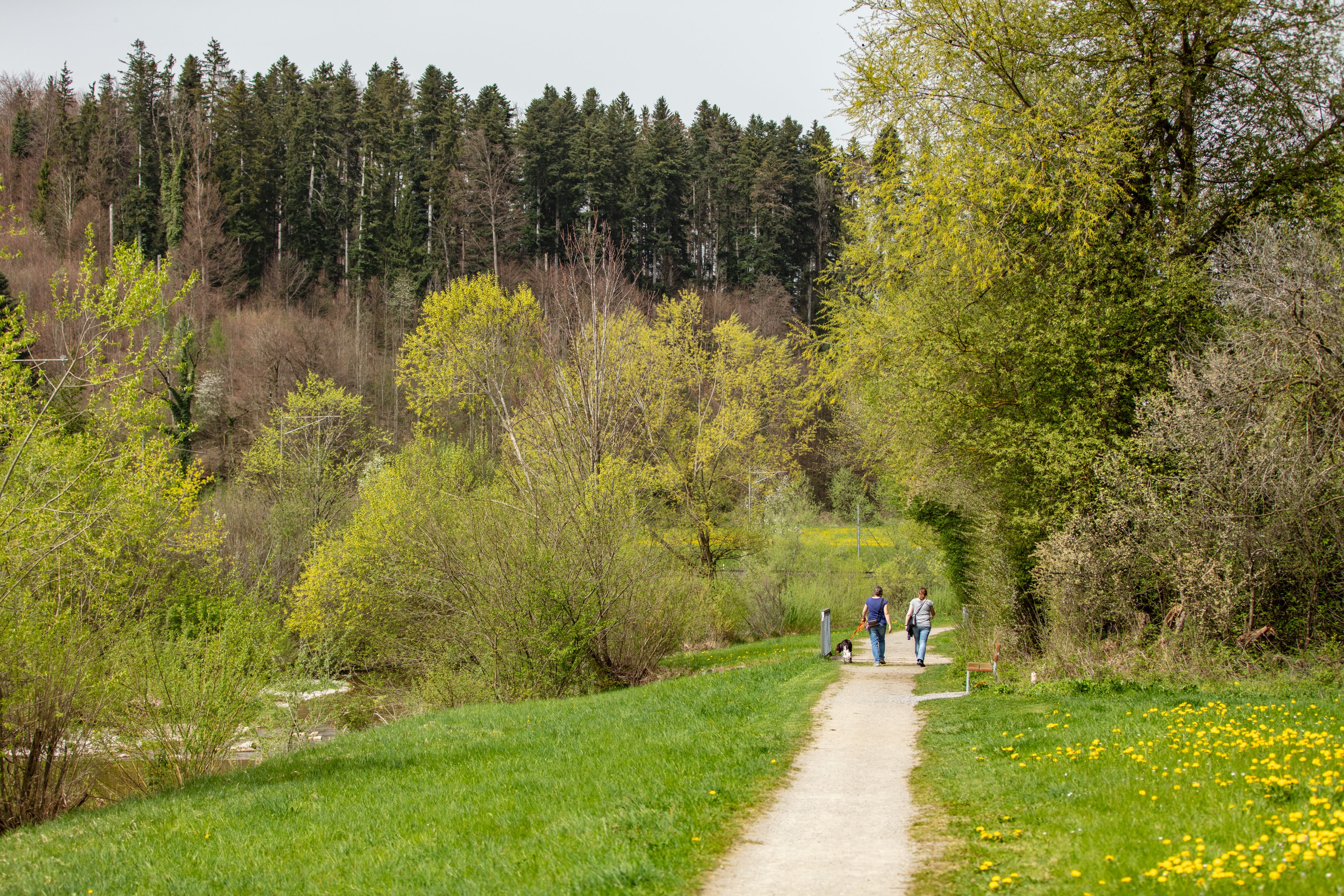 Spaziergang entlang dem Fluss Töss