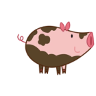 Baby Pig