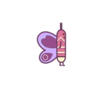 Mariposa