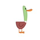 Duck