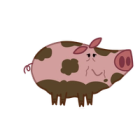 Old Pig
