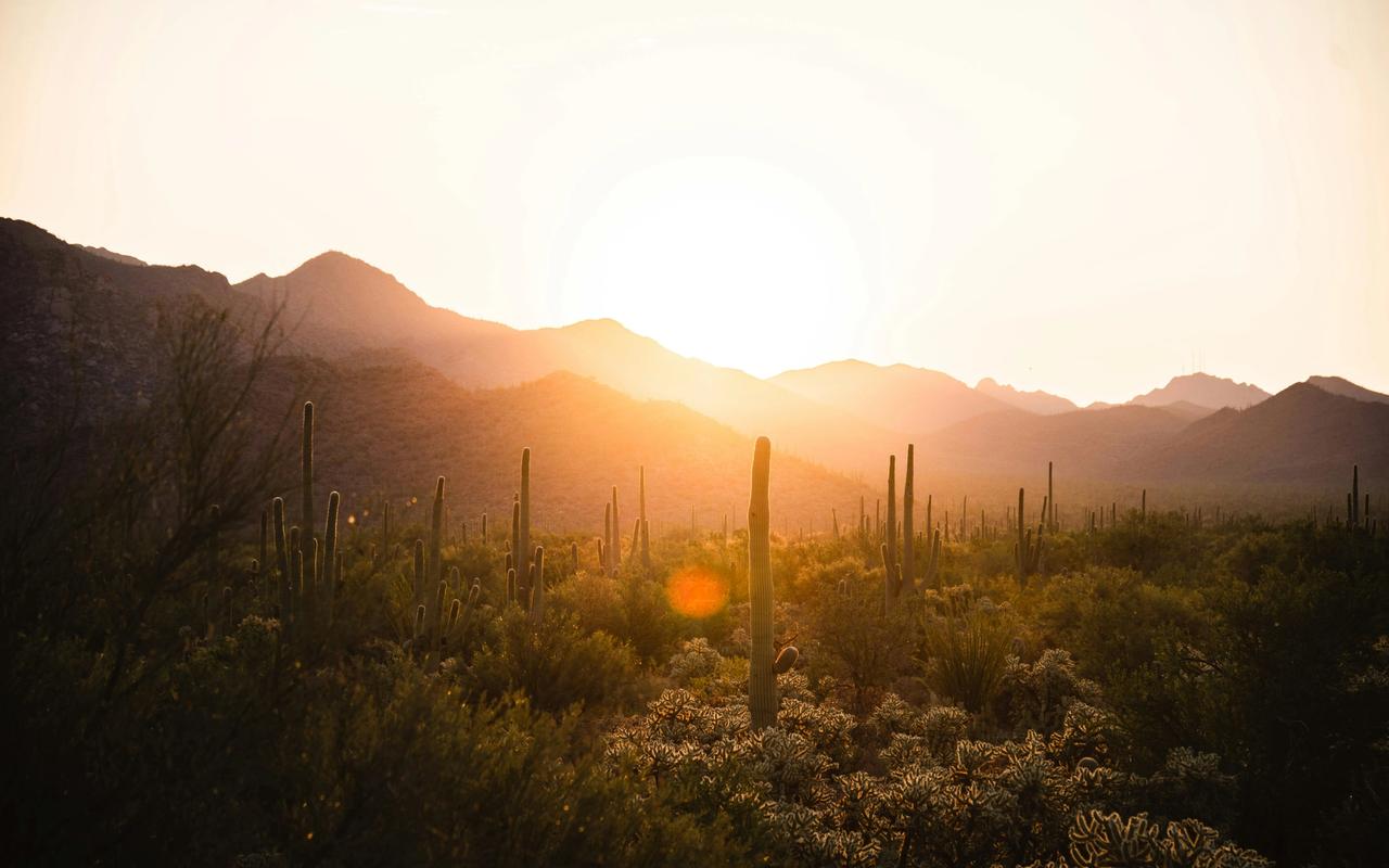 Arizona desert conference banner for Elysian's speaking role at the IACP 2026 Annual Conference