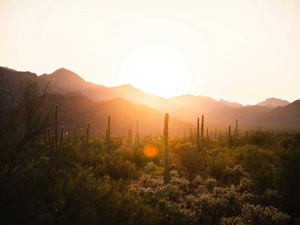 Arizona desert conference banner for Elysian's speaking role at the IACP 2026 Annual Conference