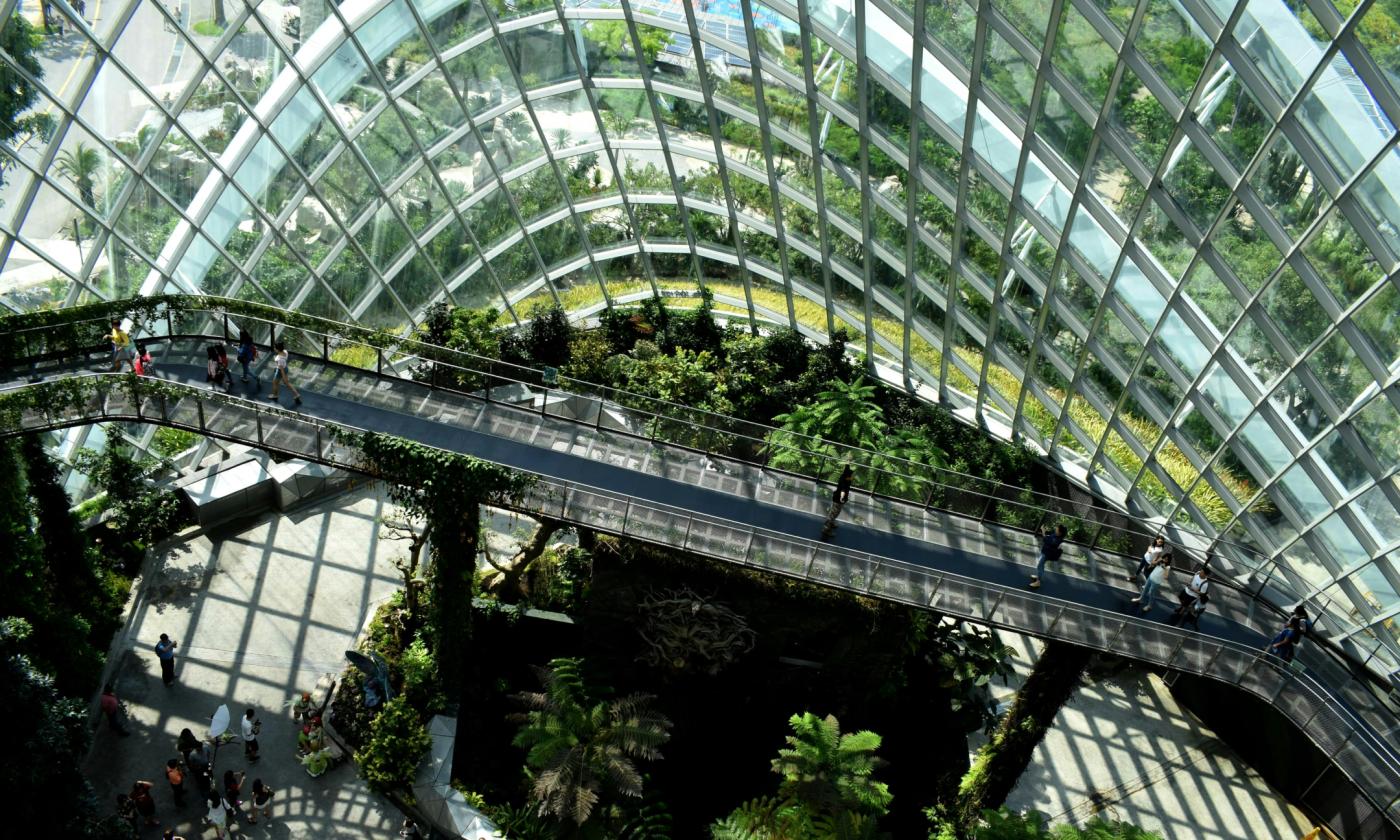 This comundo blog post's header image is an inside photo of Flower Dome in Singapore; the largest greenhouse in the world. We can see the glass front, a walkway that crosses over lush greenery, and plenty of plants and trees in the fore and background .