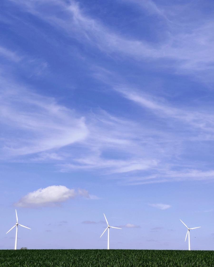 A photo of a solo wind turbine with greenery at the front of the photo and blue sky behind