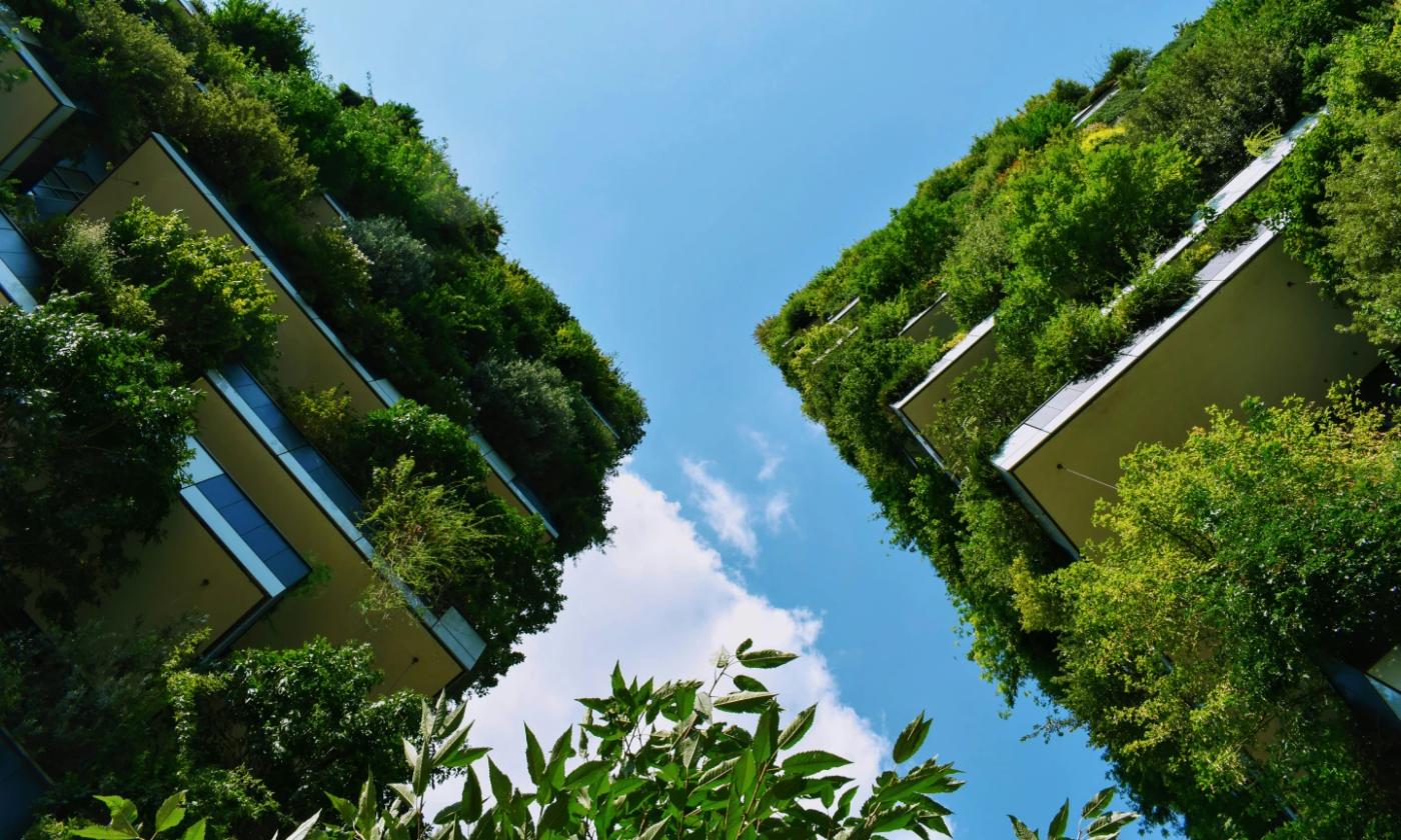 A low-angle perspective shot of buildings that are covered with greenery. The sky behind them is blue, and there's a little foliage in the foreground. 