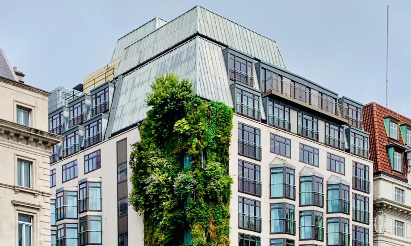 This comundo blog post about LEED building certification features a main image buildings. It is quite a close-up shot so we can't see the ground, but there is some blue sky showing. One corner of a building is smothered with greenery.