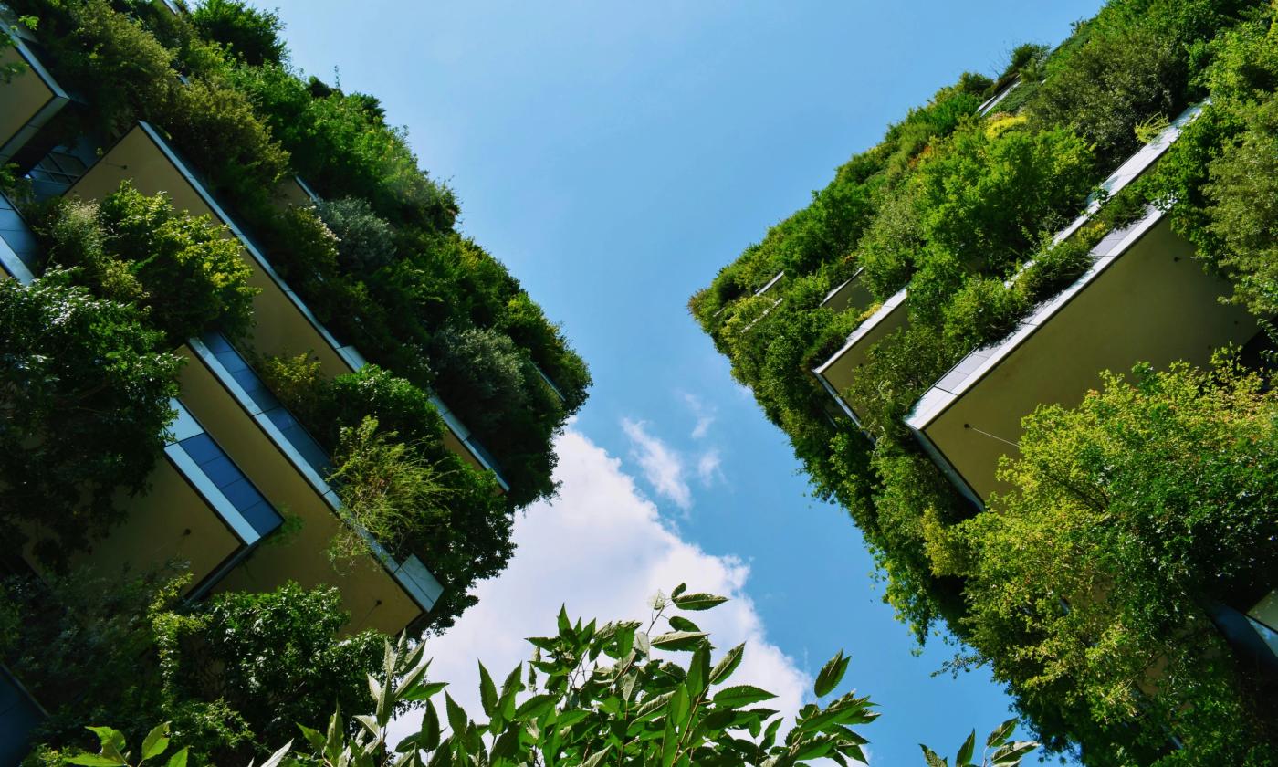The main image for this comundo blog post about sustainability reporting is taken from the ground looking up between two tall buildings. They are both draped in greenery and the sky in the background is blue