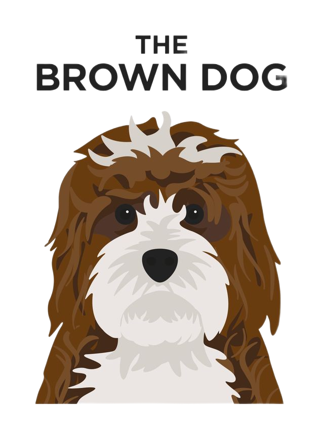 EARNT x  The Brown Dog image