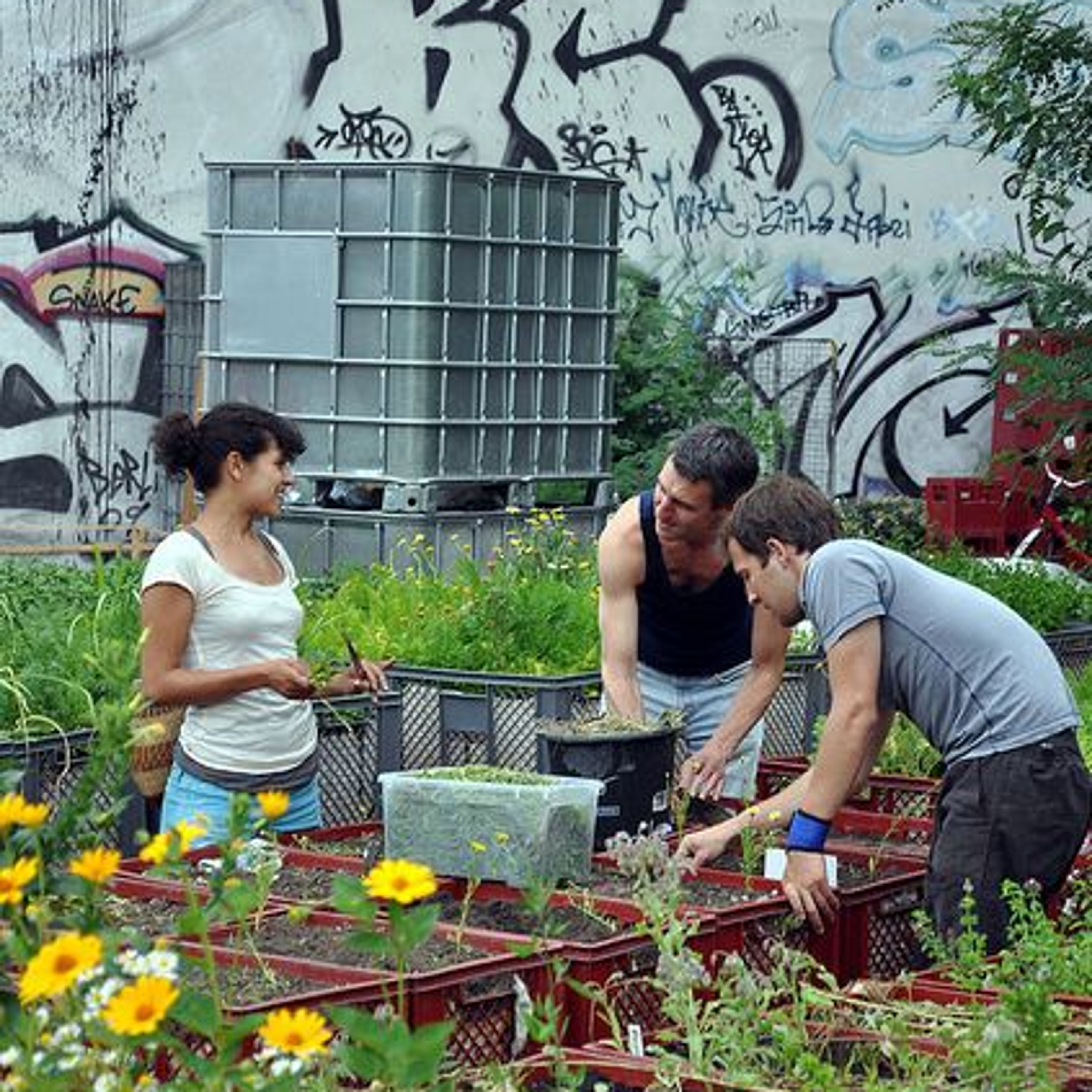 Gardening with Lancaster West Neighbourhood Teams