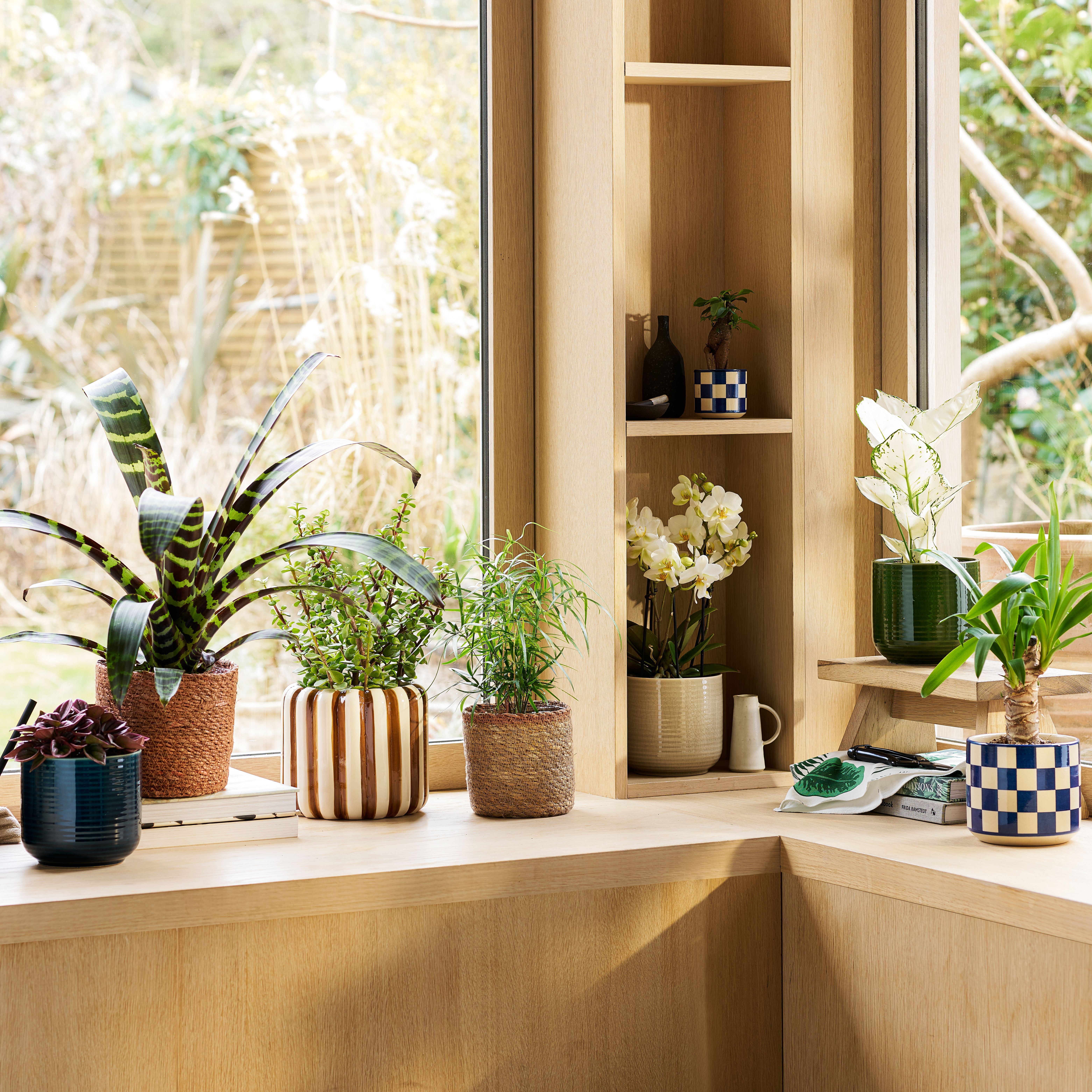 Patch Plants Friend and Family Discount