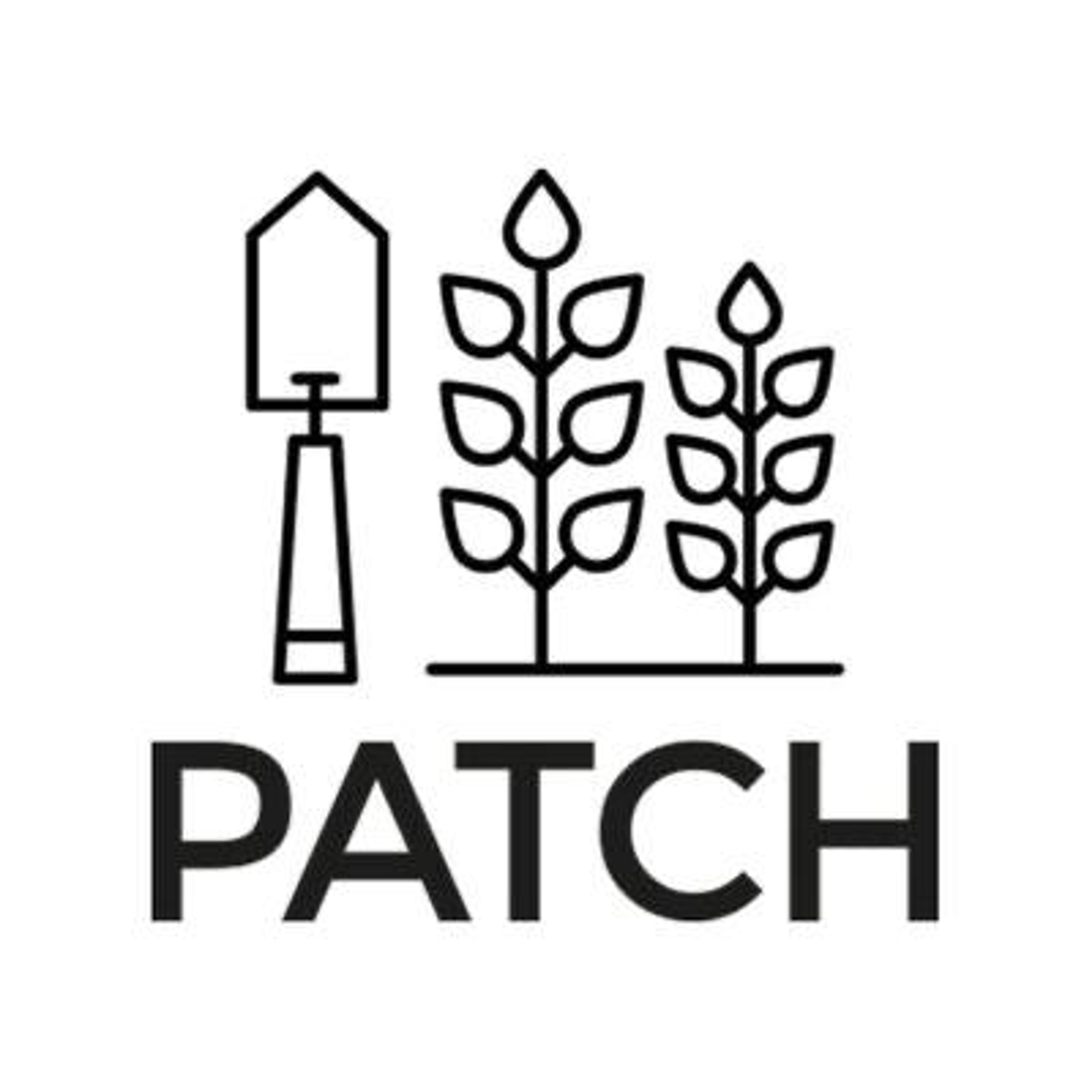 Patch Plants Festive Gift