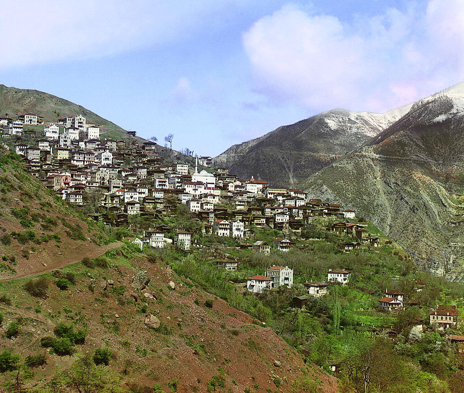 ართვინი. 1900 იანი წლები