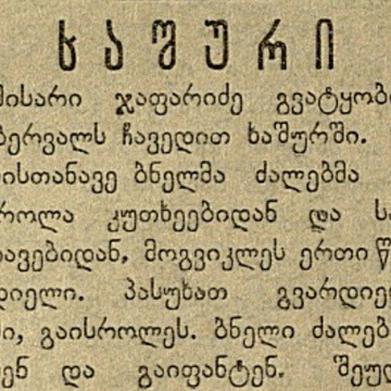 არეულობა და შეტაკება ხაშურში