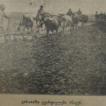 karaiazi