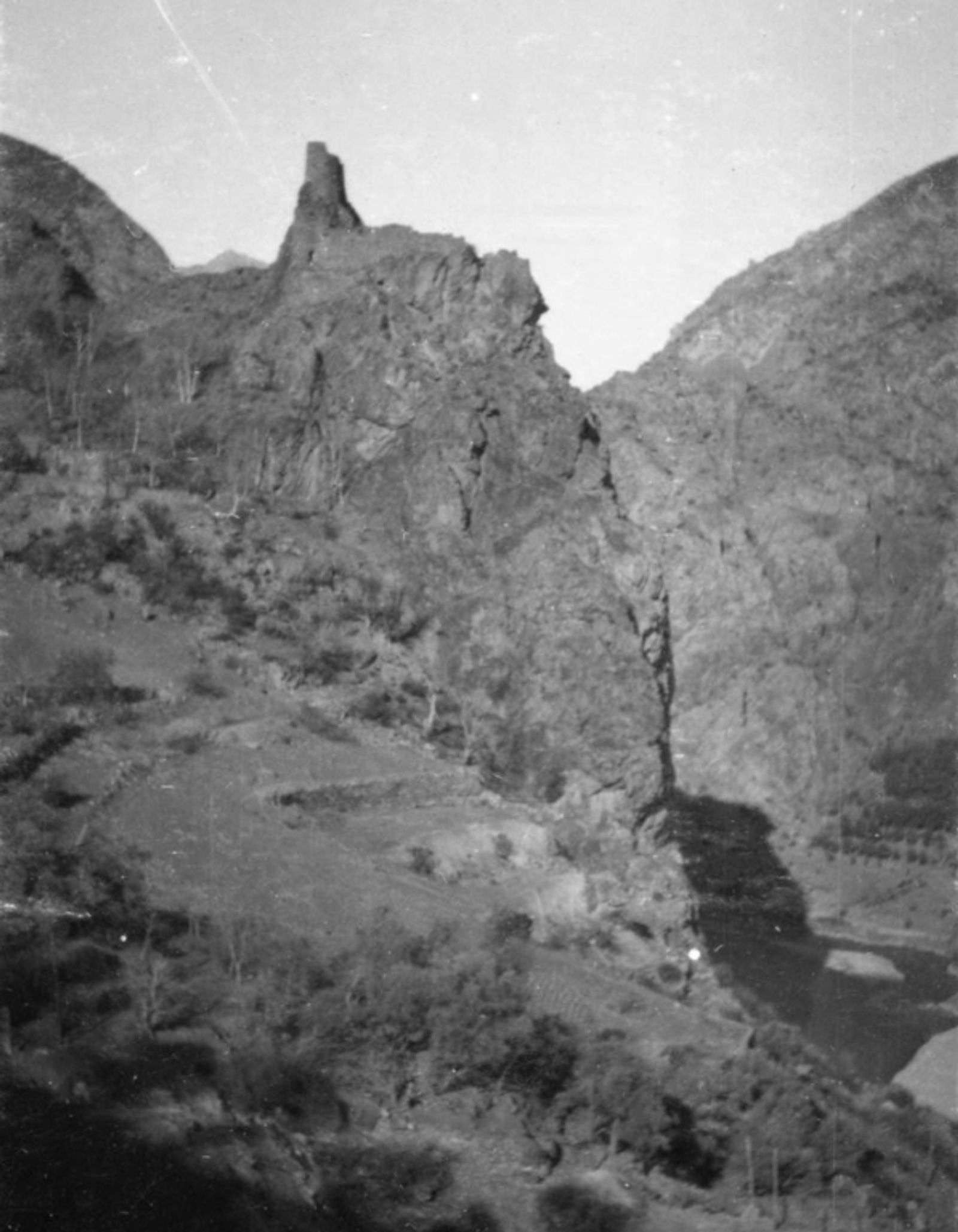 ართვინი