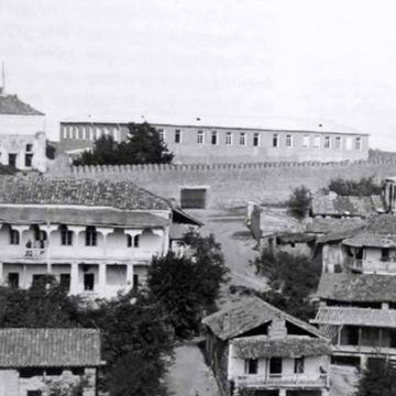 telavi