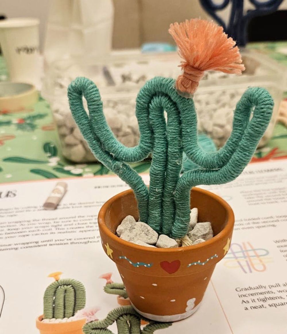 Cactus macrame