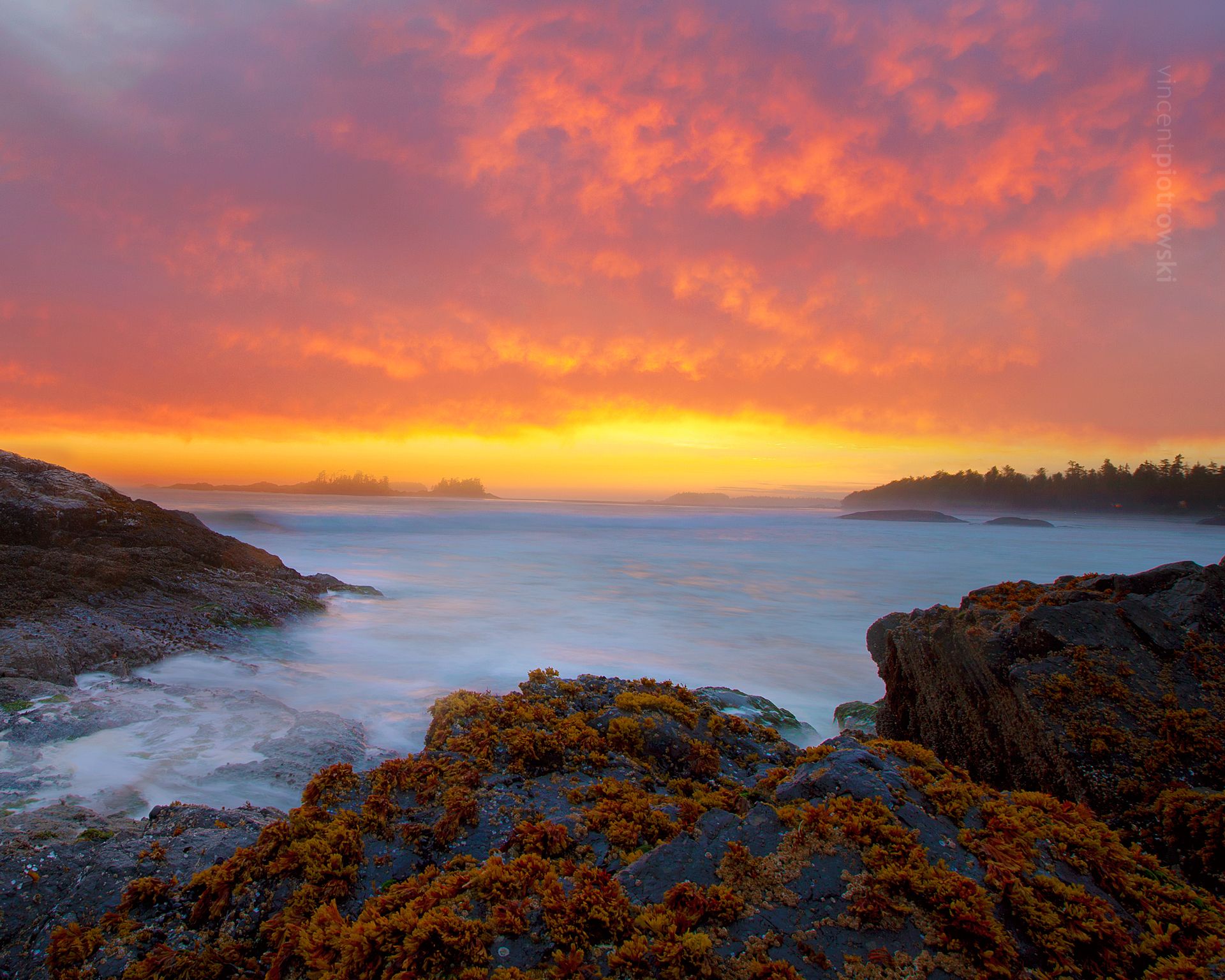 A picture looking out over the Pacific Ocean taken near Tofino BC