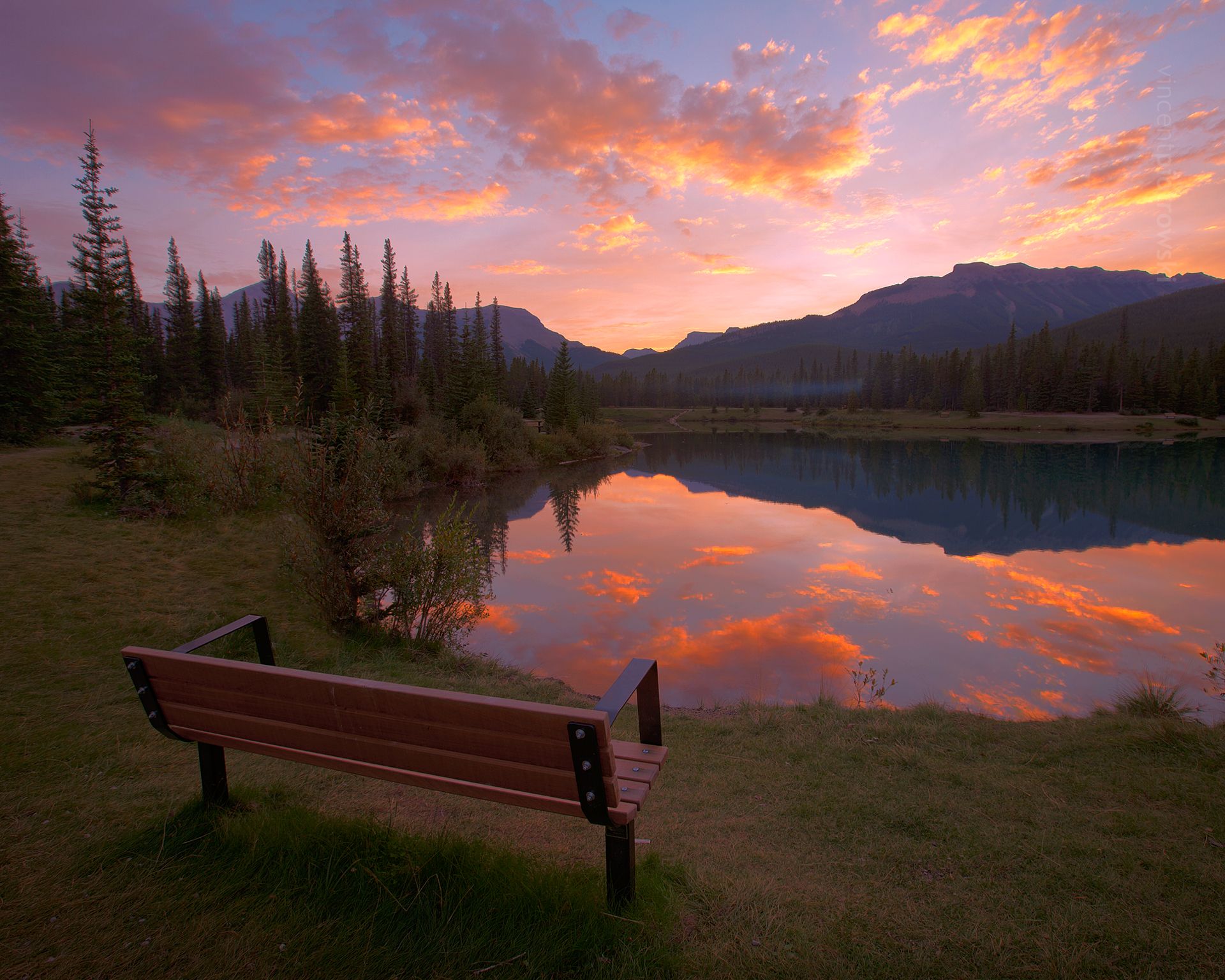 A perfect place to sit and watch the sunset over Forgetmenot Pond