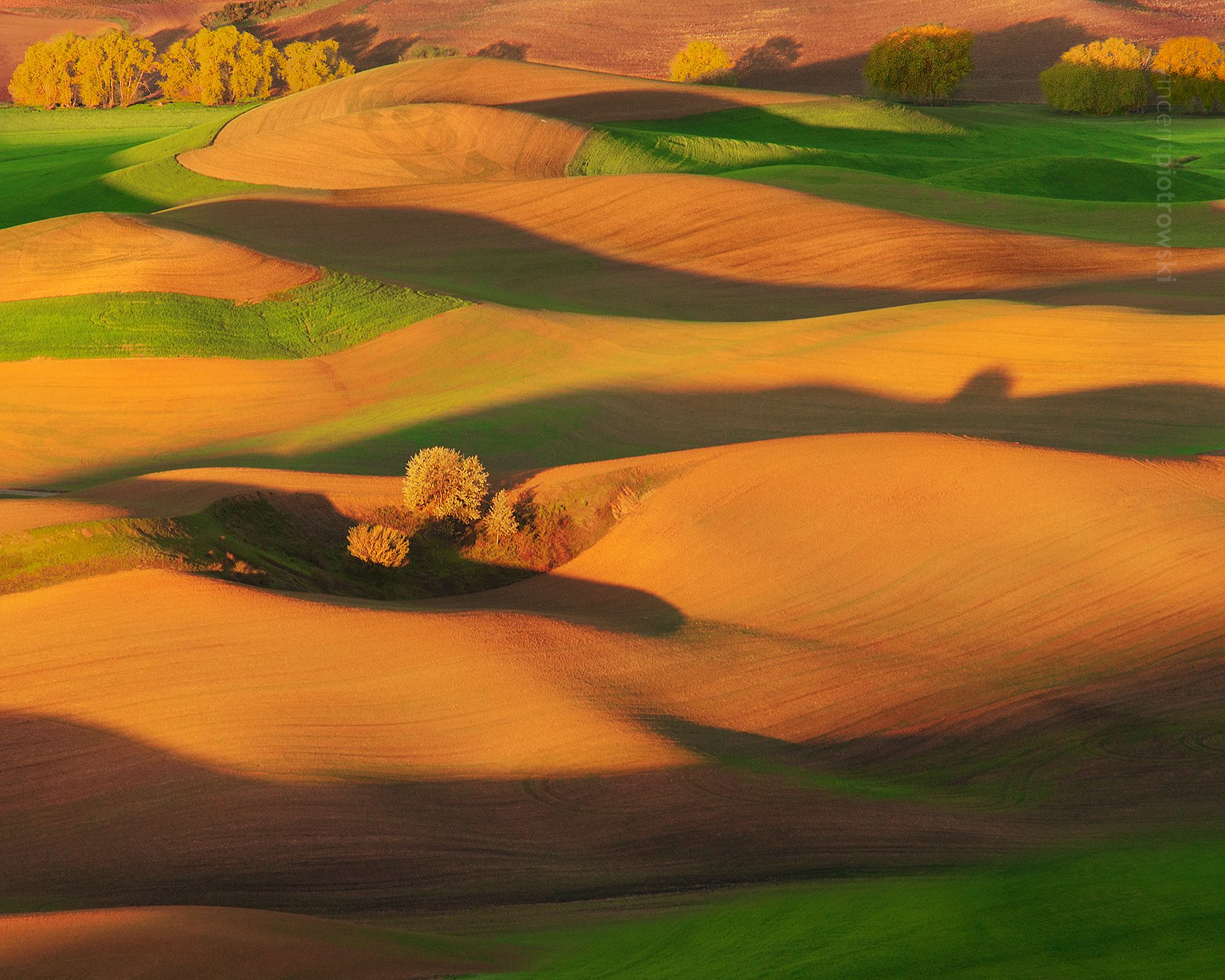 A photo taken from Steptoe Butte in the Palouse Region of Washington