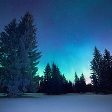 The Northern Lights shining above a snowy meadow near Bragg Creek Alberta