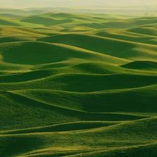 A photo of the Palouse Region in Washington that is very green