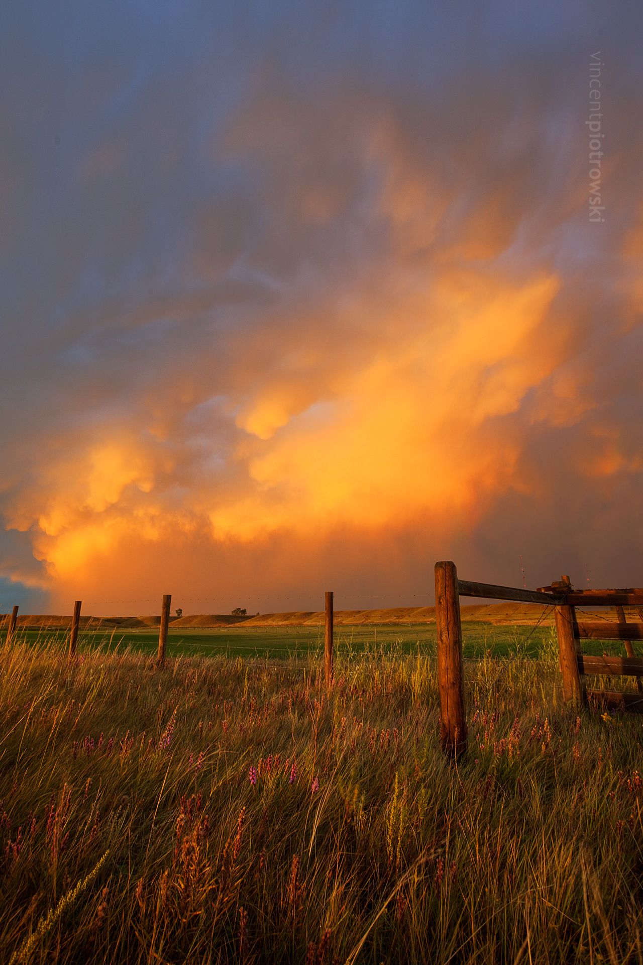 A storm cell above a barbed wire fence reflecting bright sunset colours