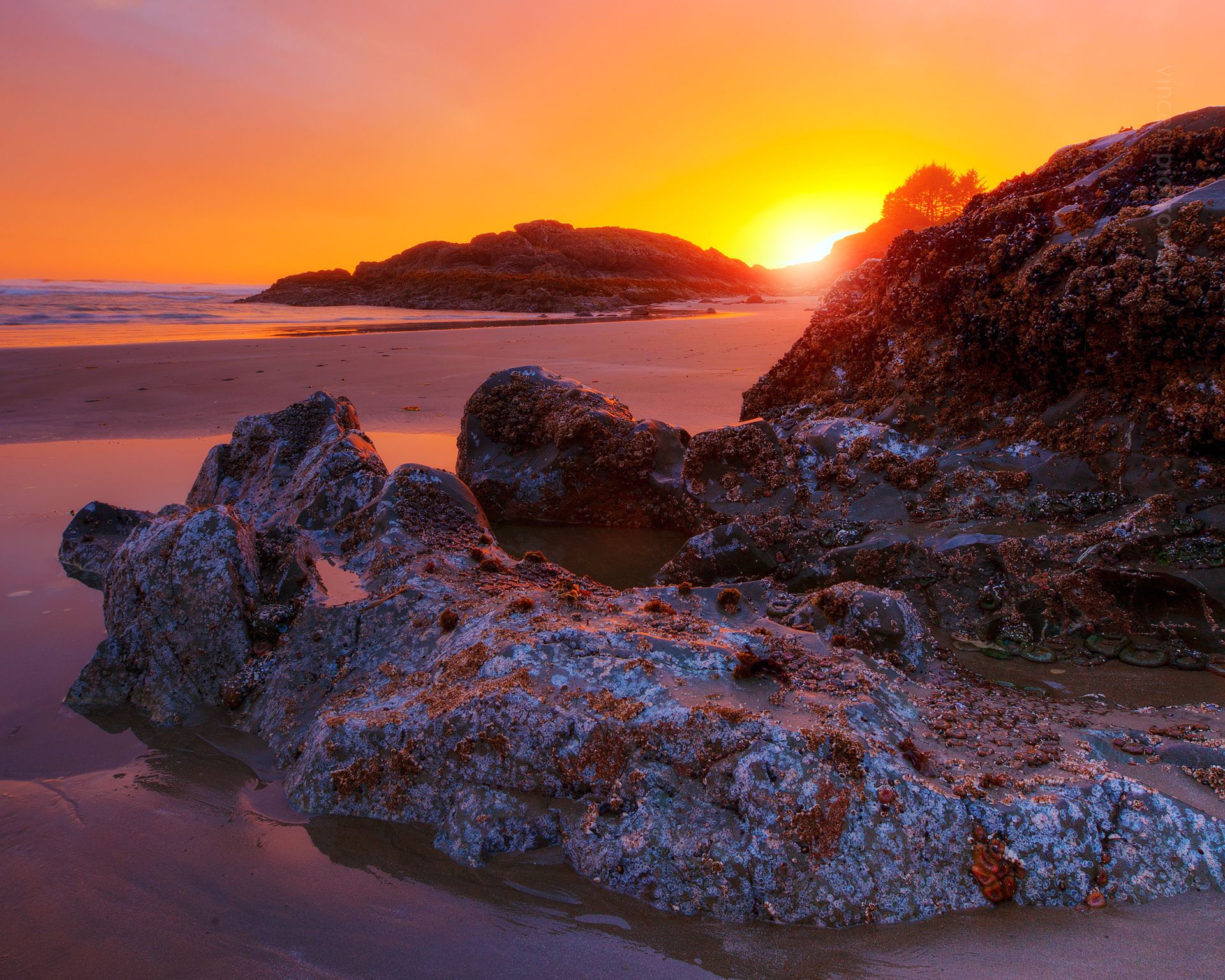 A beach scene taken near Tofino BC during sunset