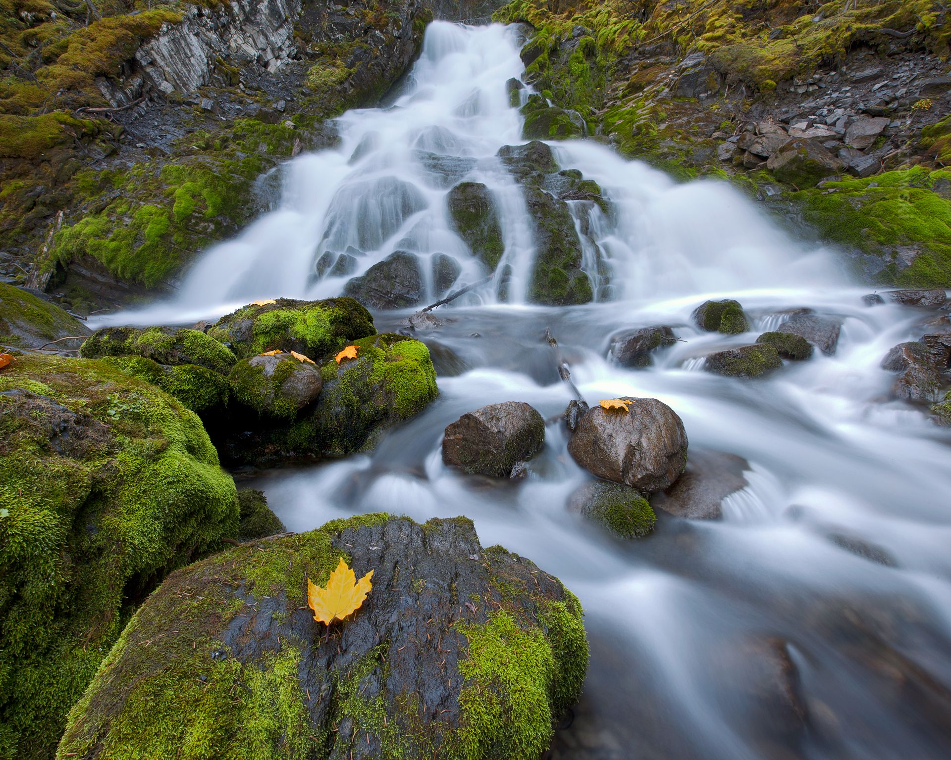 Kananaskis Falls in autumn with yellow leaves
