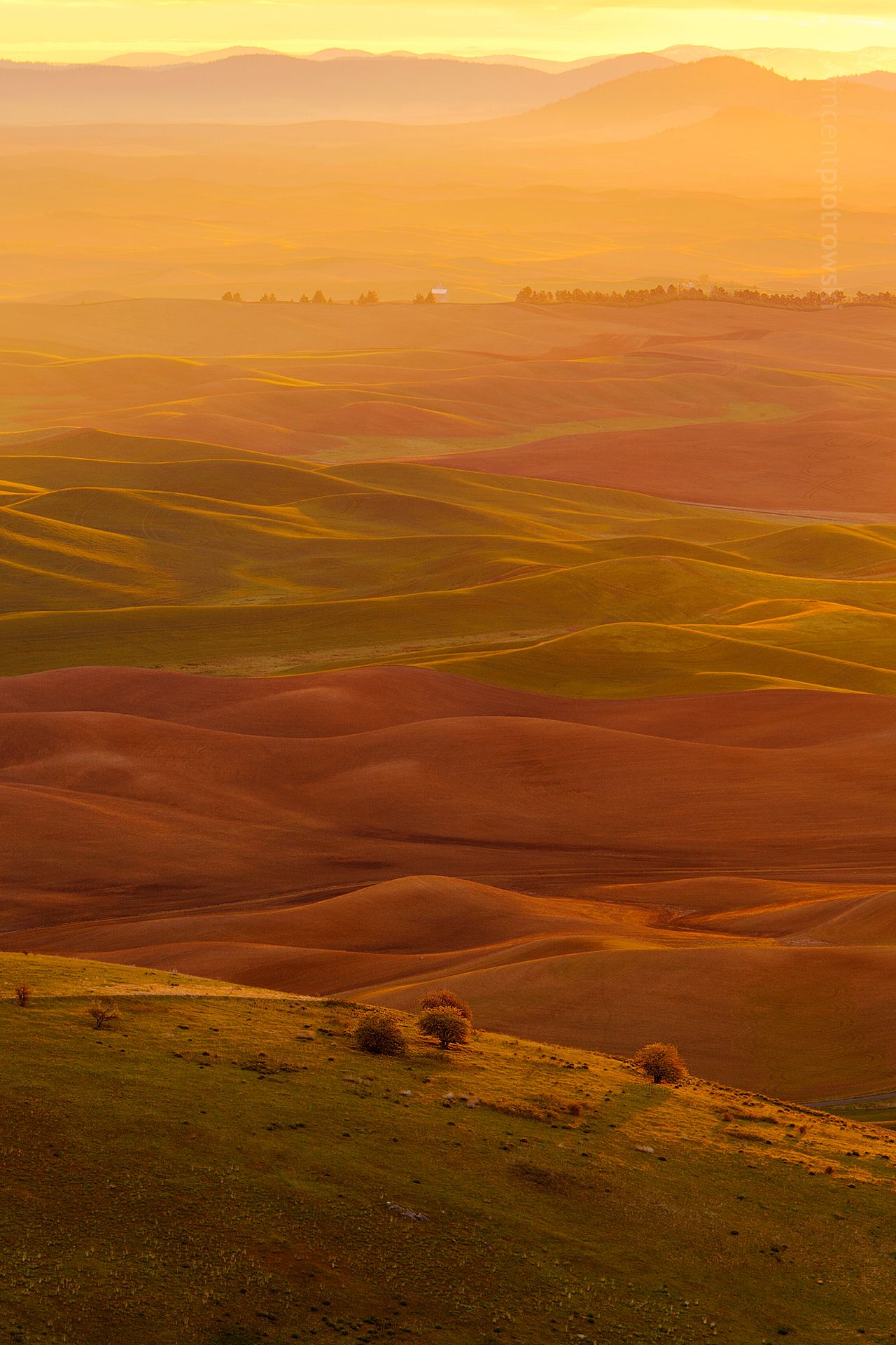 A photo taken from Steptoe Butte showing the layers left by glaciers