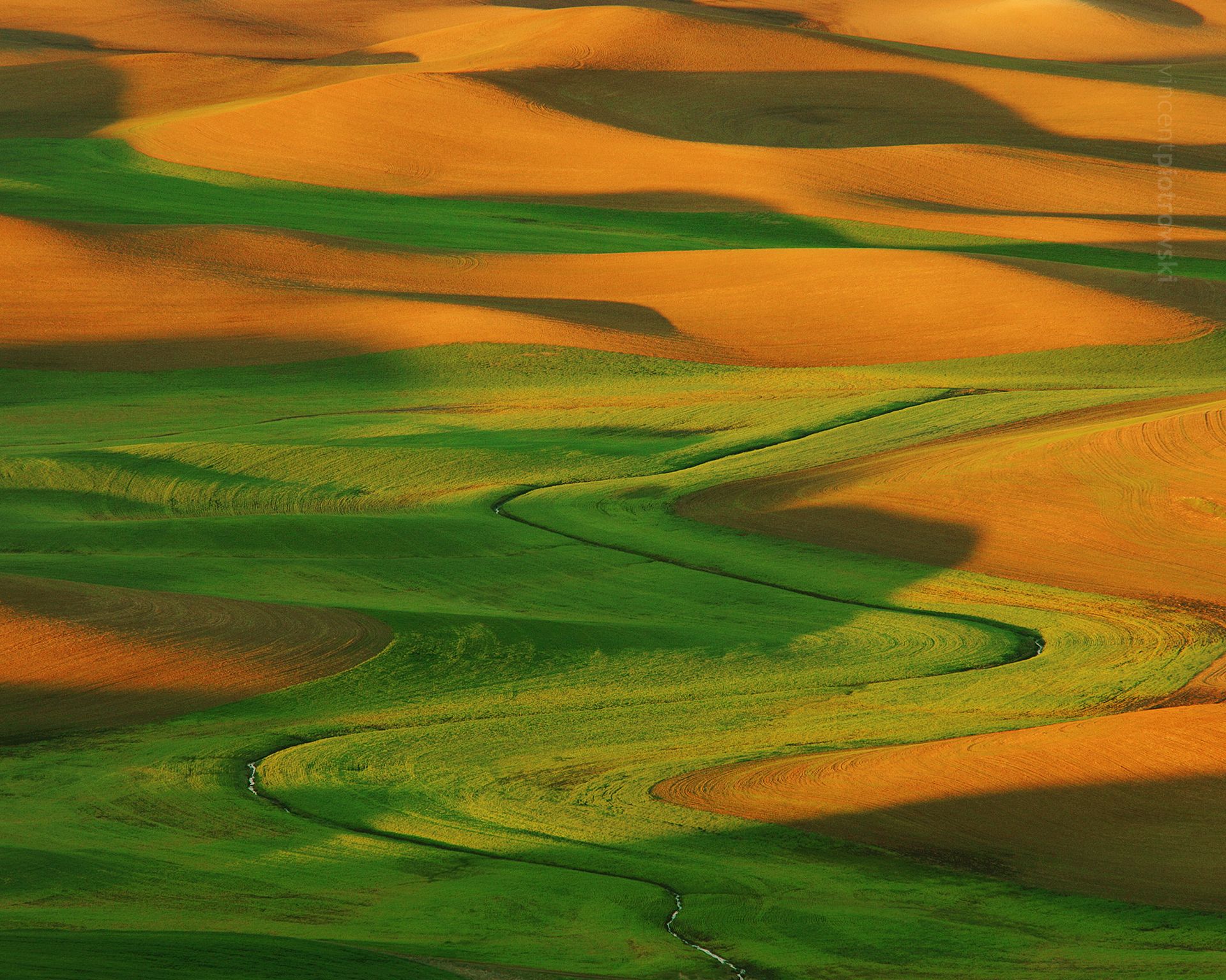 Abstract lines from the markings of glaciers in the Palouse Region of Washington