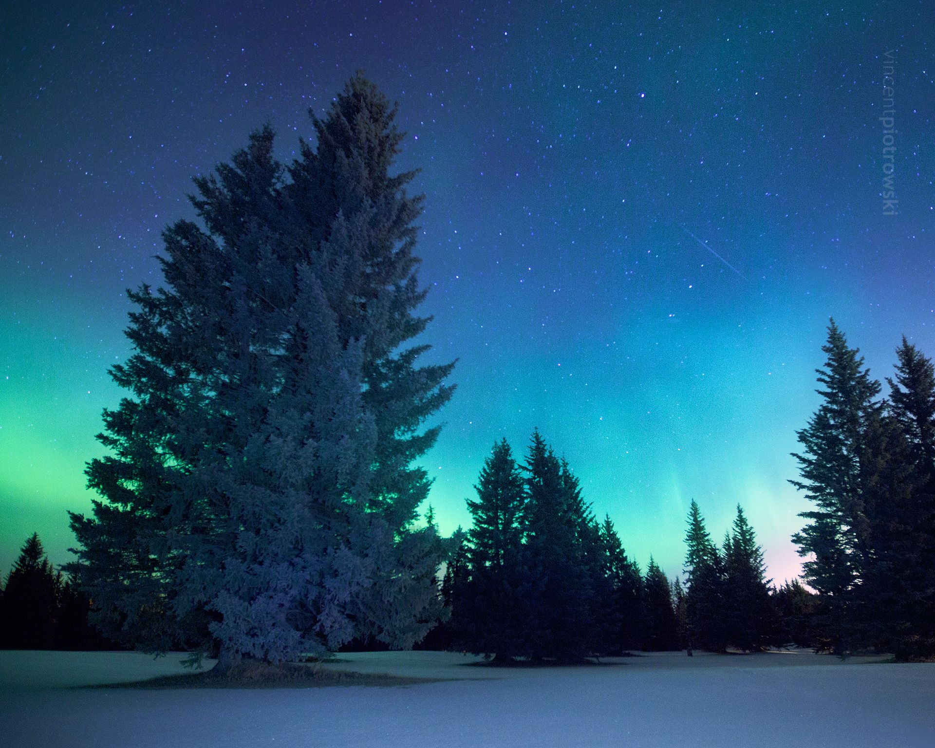 The Northern Lights shining above a snowy meadow near Bragg Creek Alberta