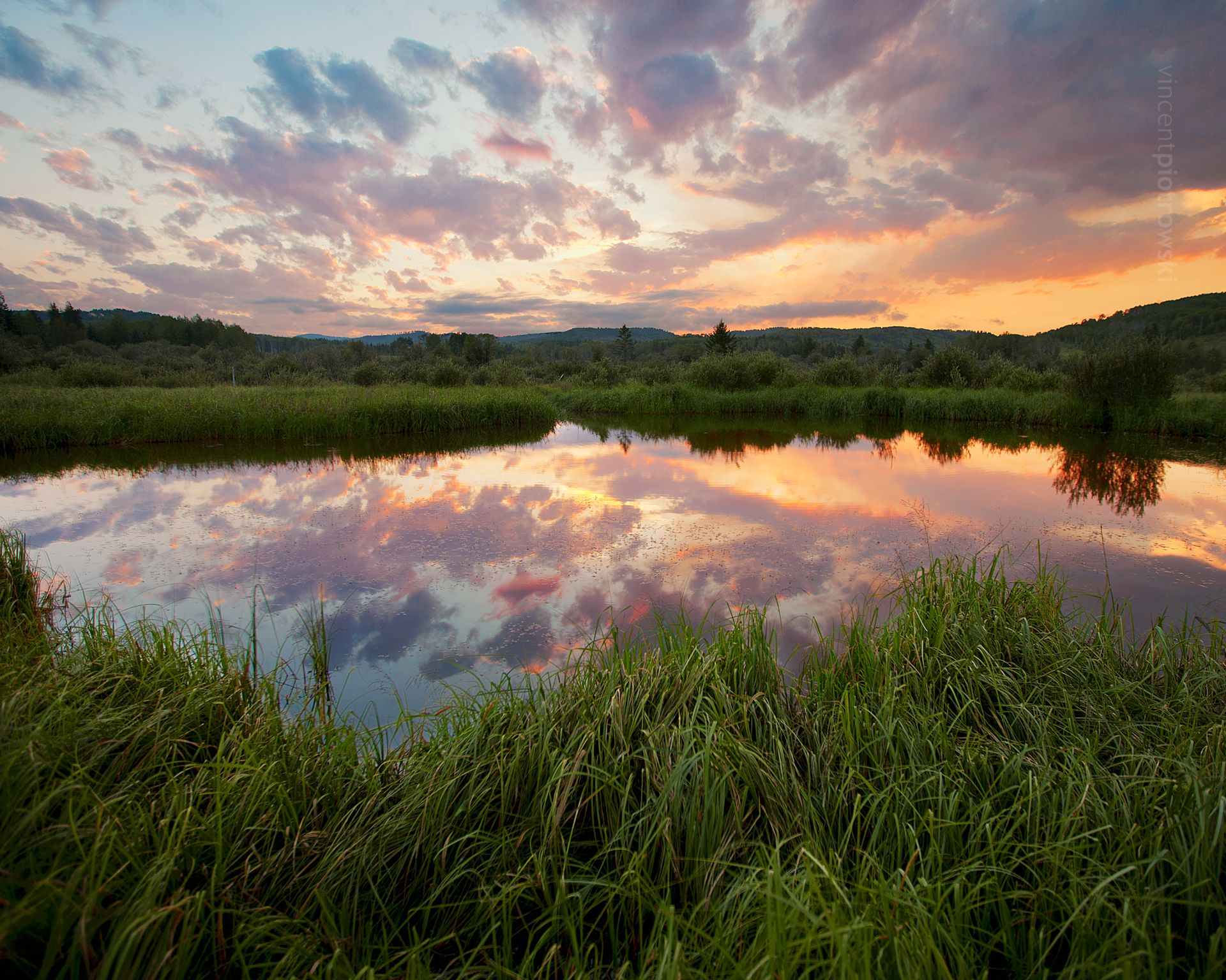A pond surrounded by green grass in the Alberta Foothills at sunset
