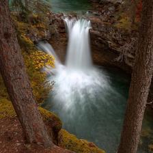 A waterfall between two pine trees in Johnston Canyon