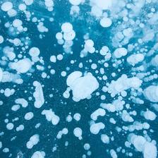 An abstract photo of the methane bubbles frozen in Abraham Lake Alberta