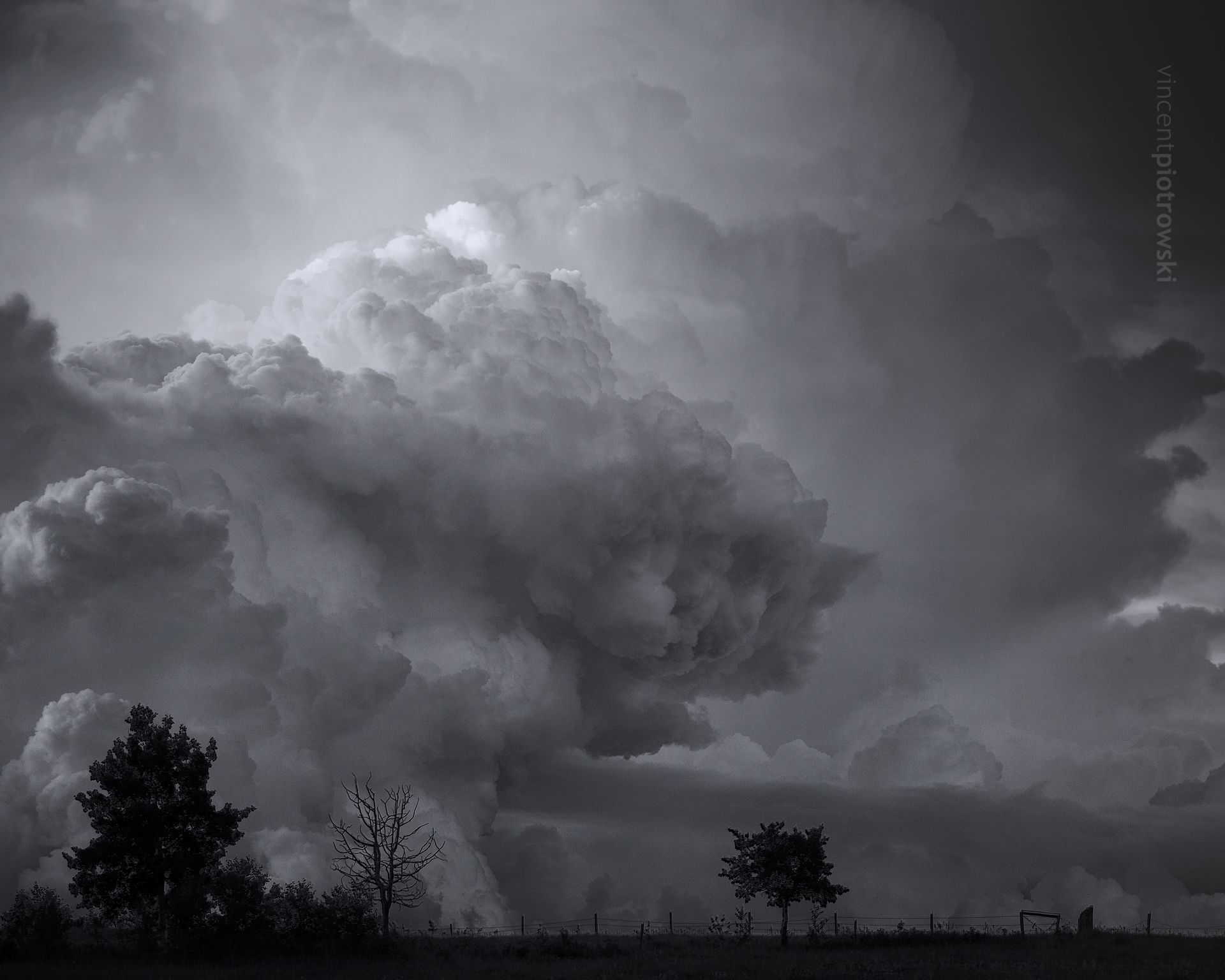 A puffy mushroom shaped storm cloud rising above the prairies