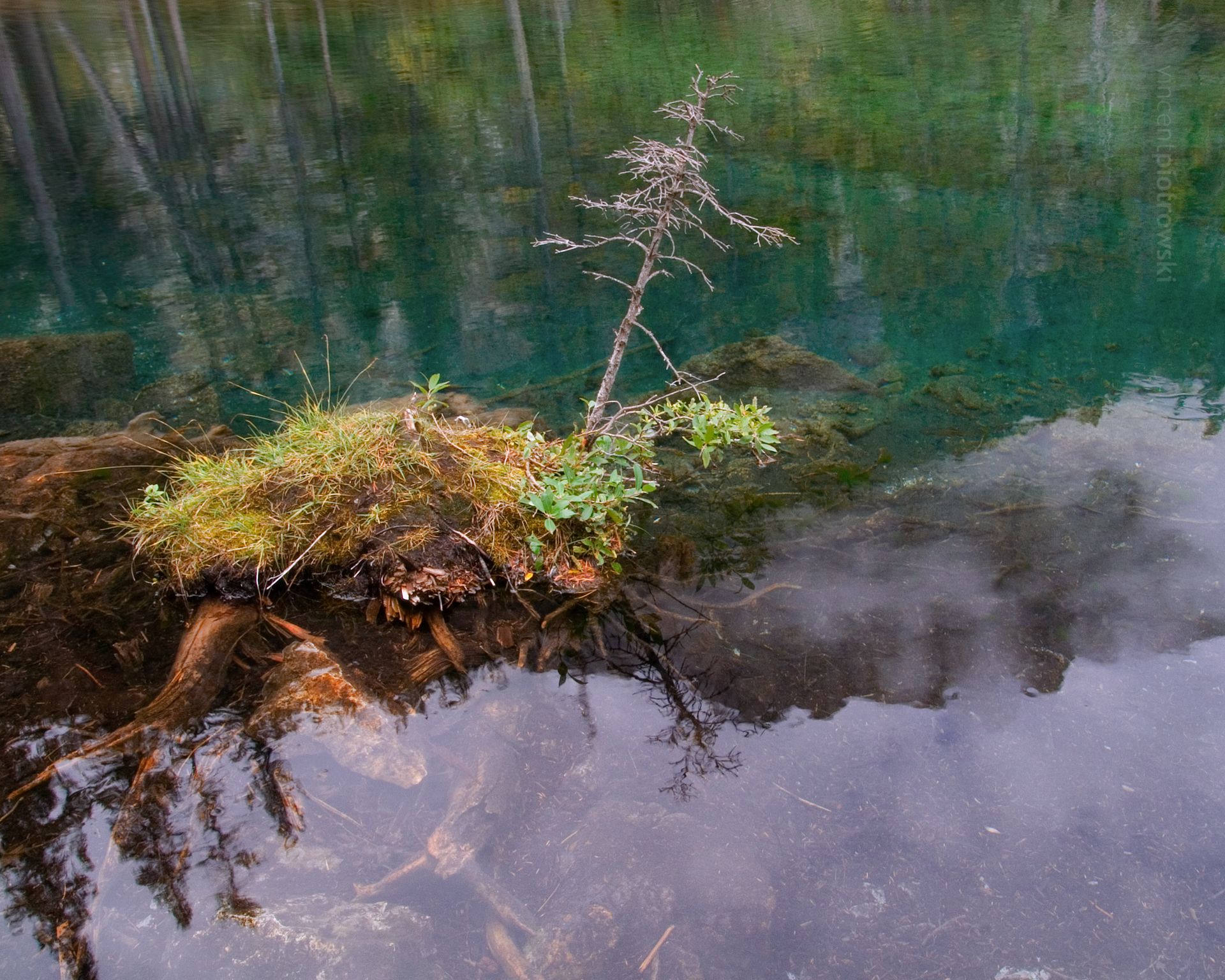 A miniature island reflected in Grassi Lakes near Canmore Alberta