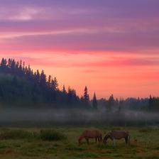 Domestic horses grazing in the foothills of Alberta during sunrise