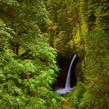Metlako Falls in Portland Oregon with lots of lush green vegetation