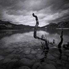 A moody photograph of Annette Lake in Jasper National Park