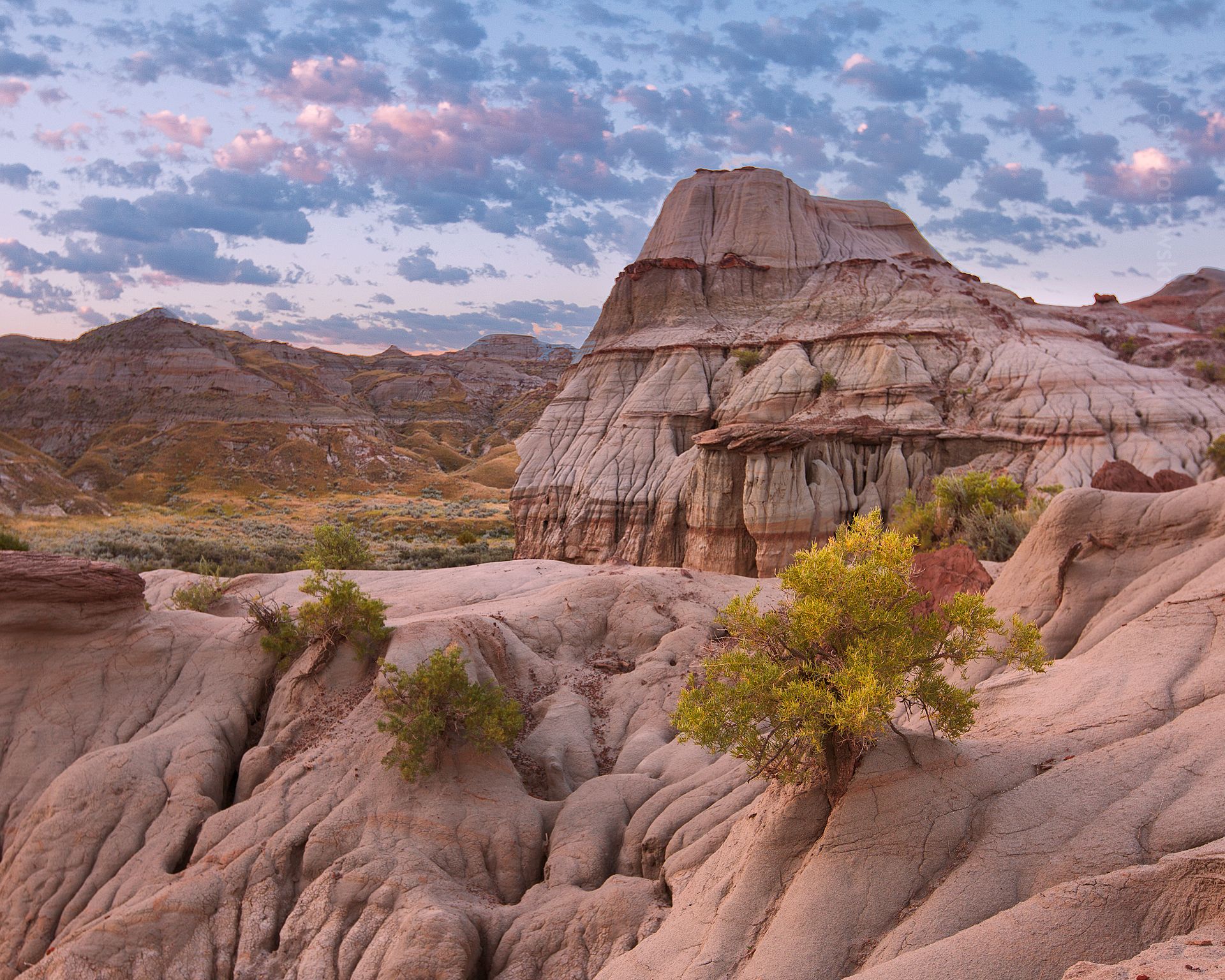 A wide shot of the badlands in Alberta taken at sunrise