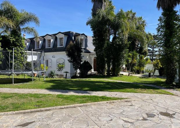 Villa grounds with mature palms, Tangier