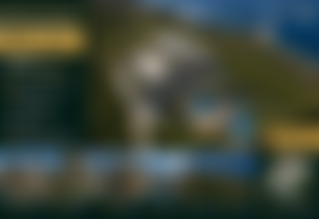 5.5 Hectare Sea View Development Land in Ksar Esghir